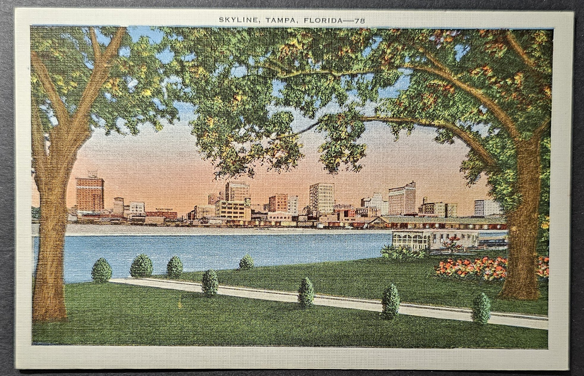 postcard USA - FL - Florida #0056 (image for) postcard USA - FL - Florida #0056